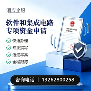 金华软件和集成电路专项资金申报服务