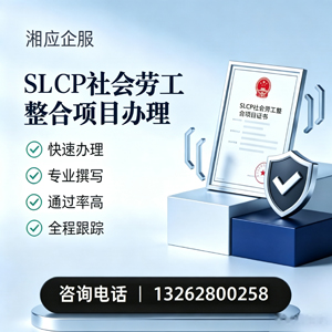 金华SLCP社会劳工整合项目申报服务