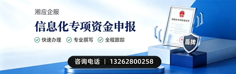 金华信息化专项资金申报服务