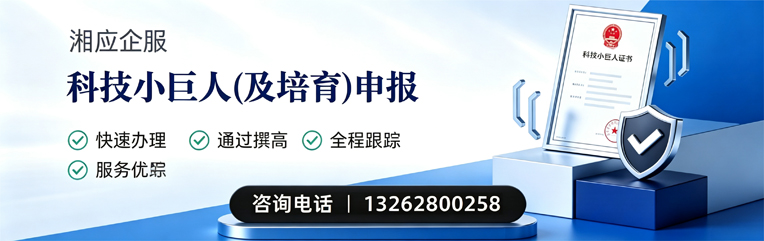 金华科技小巨人及培育企业申报服务