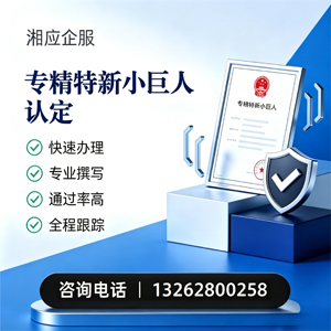 金华专精特新小巨人申报服务
