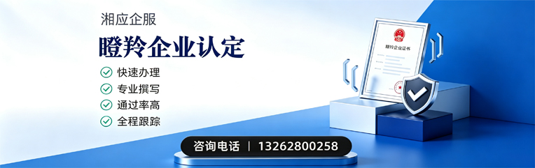 金华瞪羚企业认定申报服务