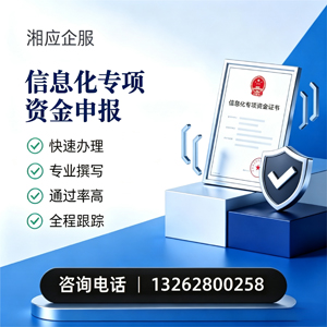 金华信息化专项资金申报服务