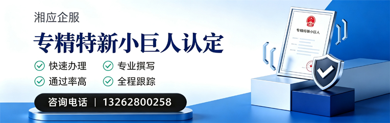 金华专精特新小巨人申报服务